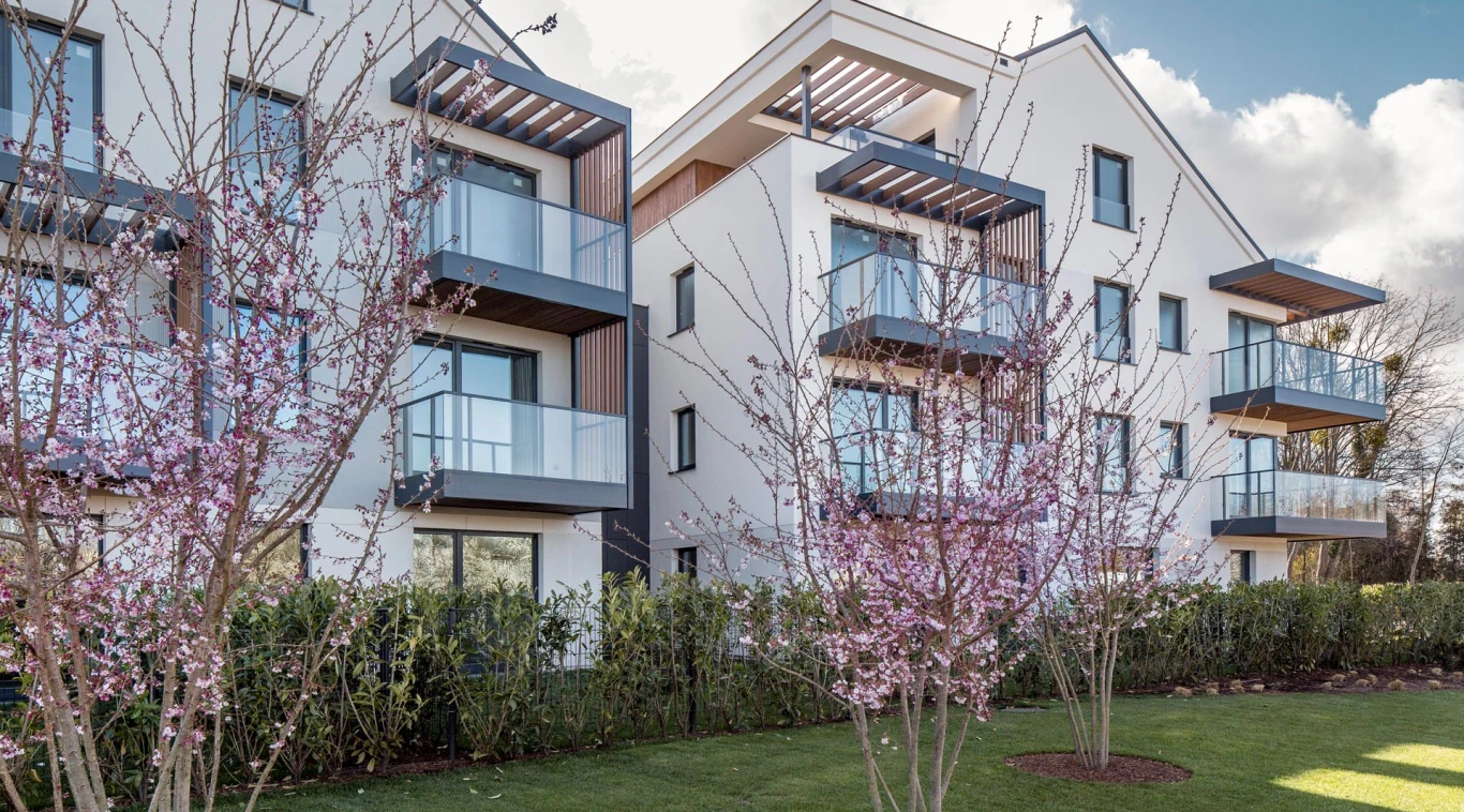 Zadbany trawnik  Odea Park Gdańsk Siedlce