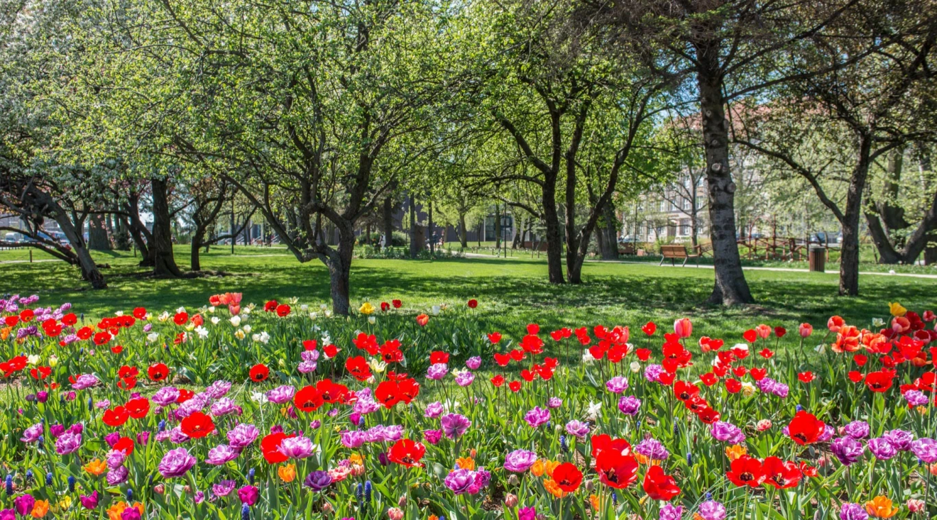 Naturalne otoczenie przy Odea Park Śródmieście