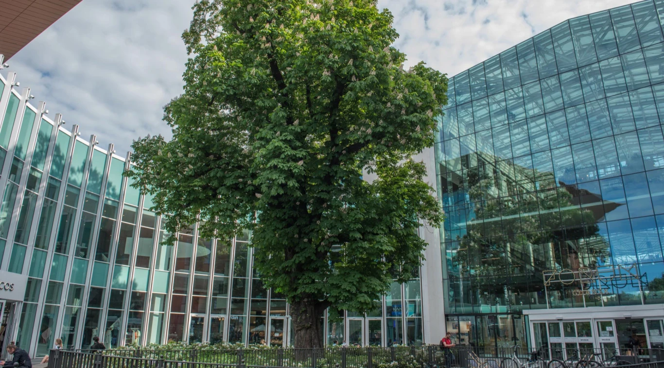 Przestrzeń usługowa przy Odea Park Gdańsk